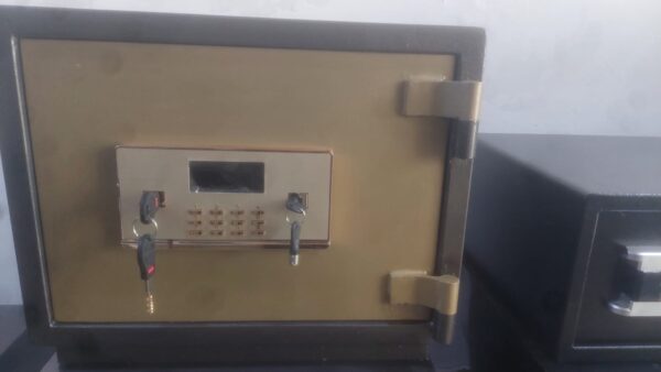 Digital Biometric Safe Lockers - Image 3